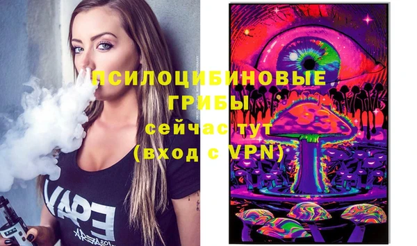 шишки Абинск