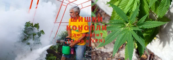 шишки Абинск