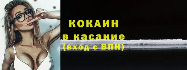 шишки Абинск