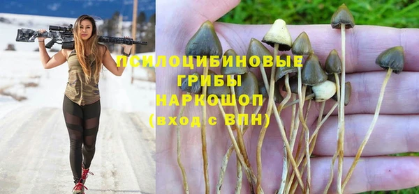 шишки Абинск