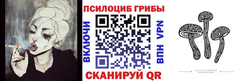 ОМГ ОМГ ссылки Камызяк Псилоцибиновые грибы Magic Shrooms